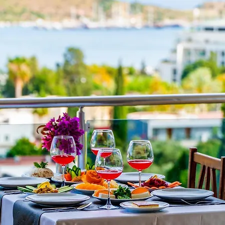 Отель Bodrum 3*