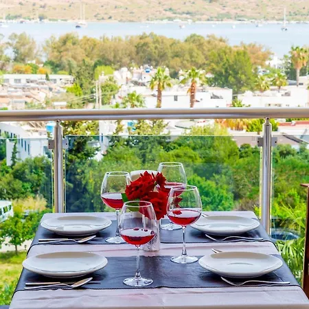 Отель Bodrum 3*